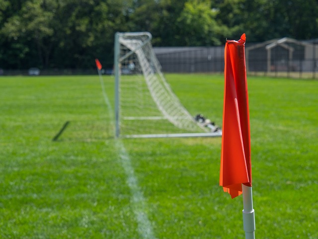 疑将对南美 疑将对南美